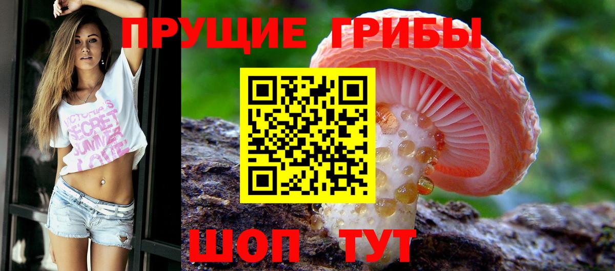 Кизляр  Псилоцибиновые грибы Magic Shrooms  Вход с VPN 